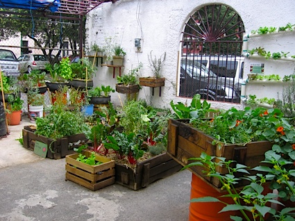 romita-urban-garden